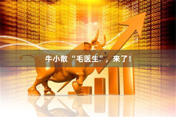 牛小散 “毛医生”，来了！